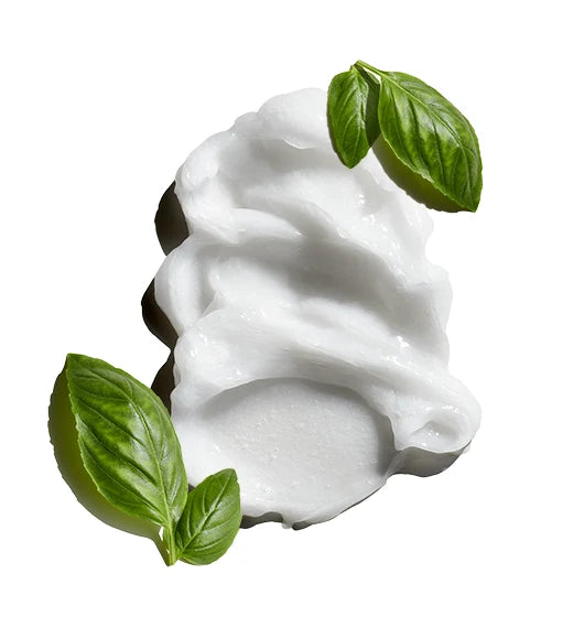 Nourishing Hair & Scalp Conditioner